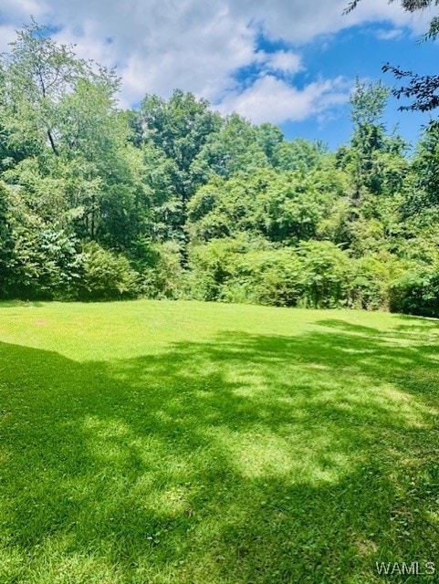 view of green lawn