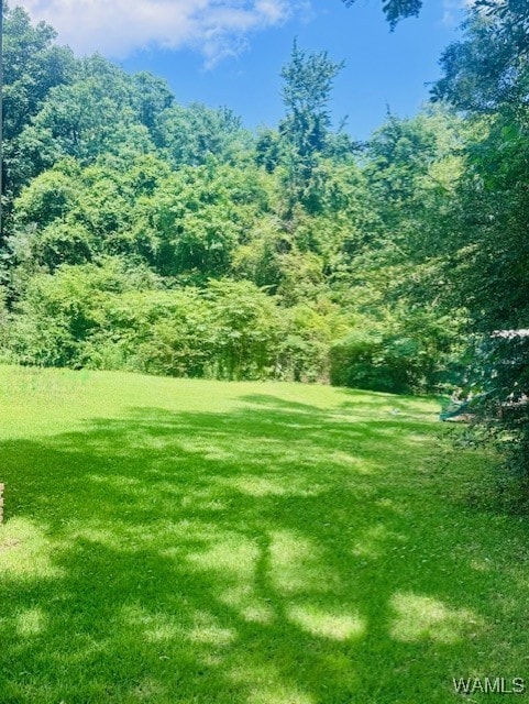 view of grassy yard