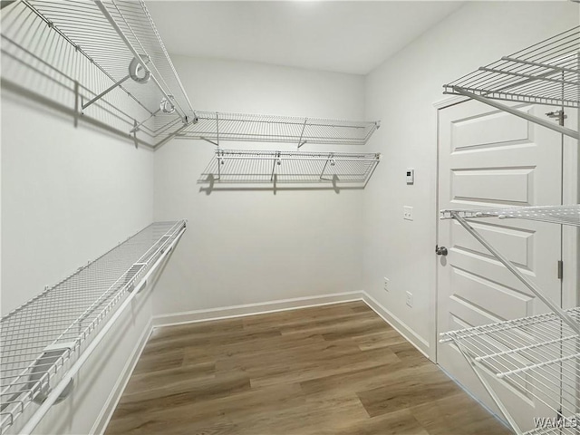 spacious closet with hardwood / wood-style flooring