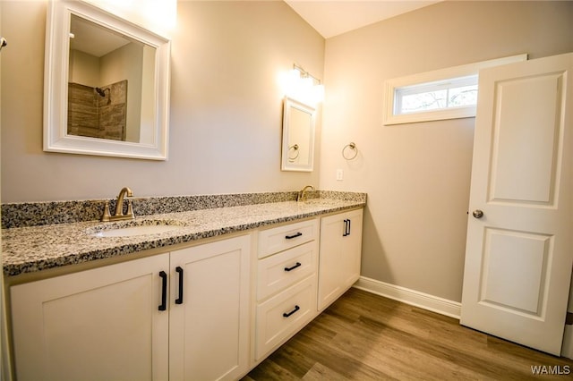 bathroom featuring wood-type flooring and vanity