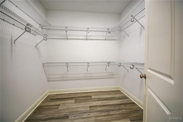 spacious closet featuring hardwood / wood-style flooring