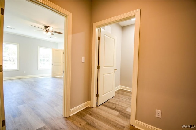 hall featuring light hardwood / wood-style floors