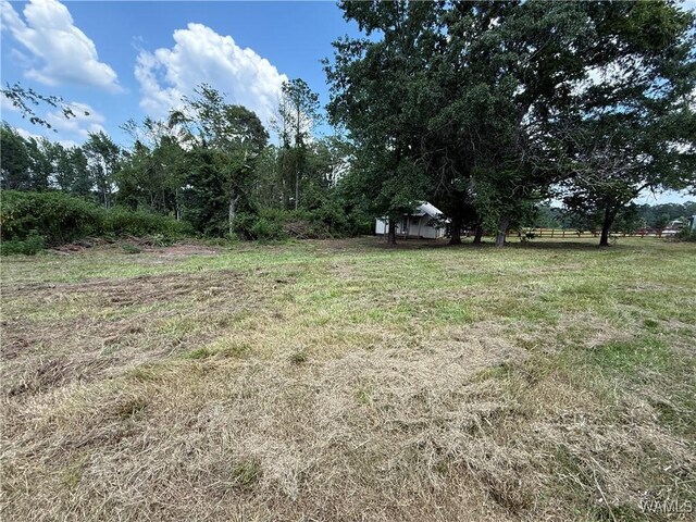 10610 County Road 181, Eutaw, AL 35462 - photo 12