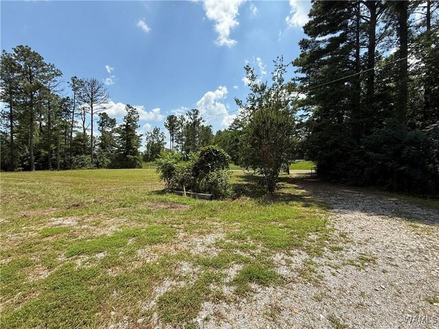 10610 County Road 181, Eutaw, AL 35462 - photo 24