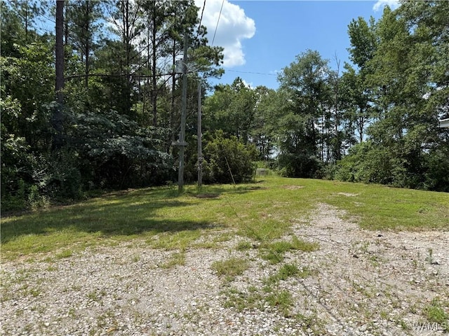 10610 County Road 181, Eutaw, AL 35462 - photo 23