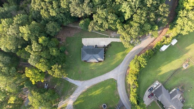 12245 Country Club Dr, Northport, AL 35475 - photo 9
