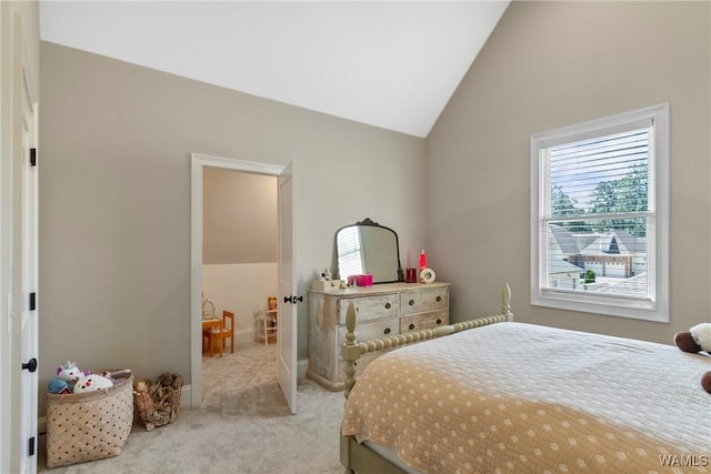 5377 Alexander Ave, Tuscaloosa, AL 35406 - bedroom featuring carpet and vaulted ceiling