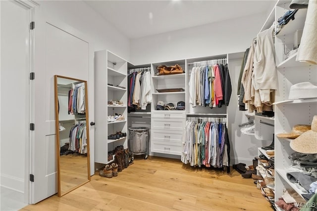 5377 Alexander Ave, Tuscaloosa, AL 35406 - spacious closet with light wood-style flooring
