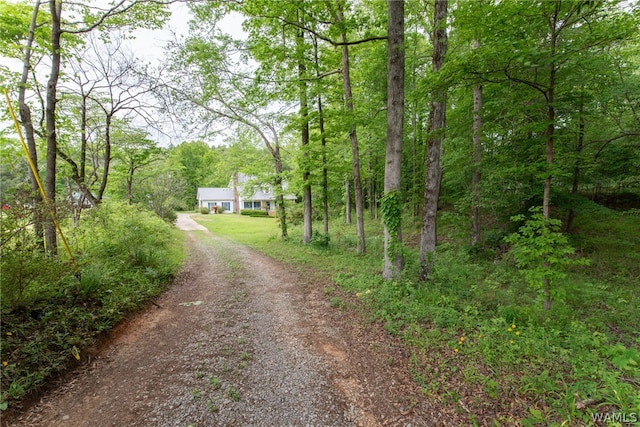 view of street