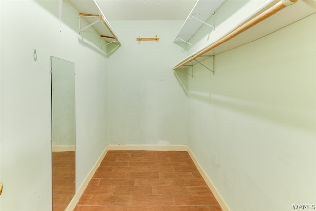 spacious closet featuring wood-type flooring