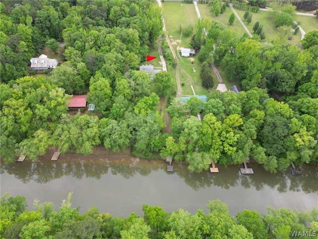 bird's eye view with a water view