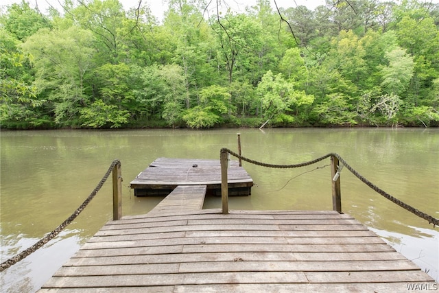 view of dock featuring a water view