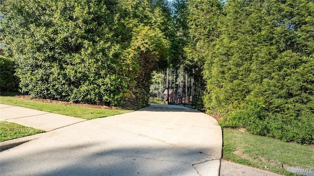 2053 Westminster Ln, Tuscaloosa, AL 35406 - photo 55
