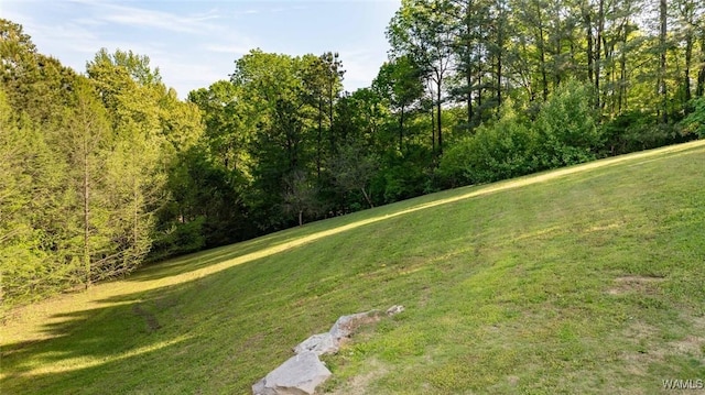 2053 Westminster Ln, Tuscaloosa, AL 35406 - photo 57