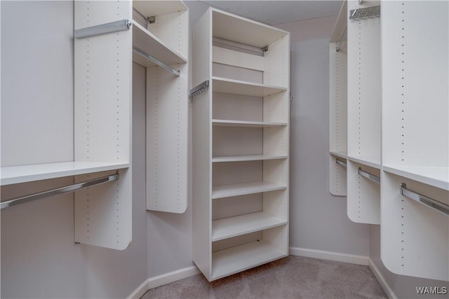 spacious closet featuring light carpet