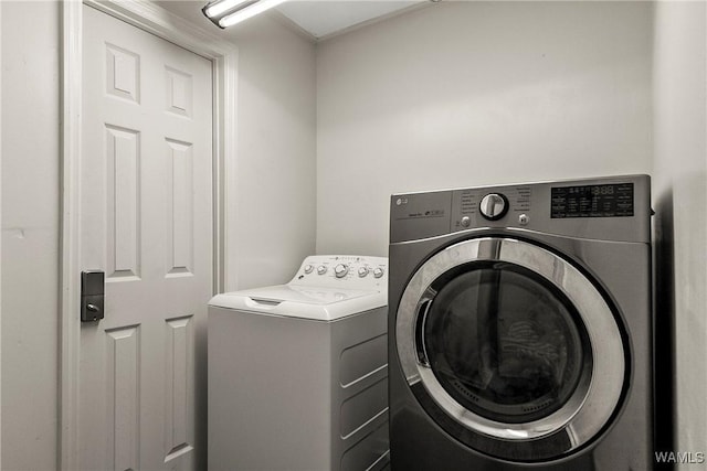 laundry room featuring laundry area and separate washer and dryer