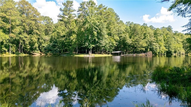 17796 Dry Branch Loop, Northport, AL 35475 - photo 2