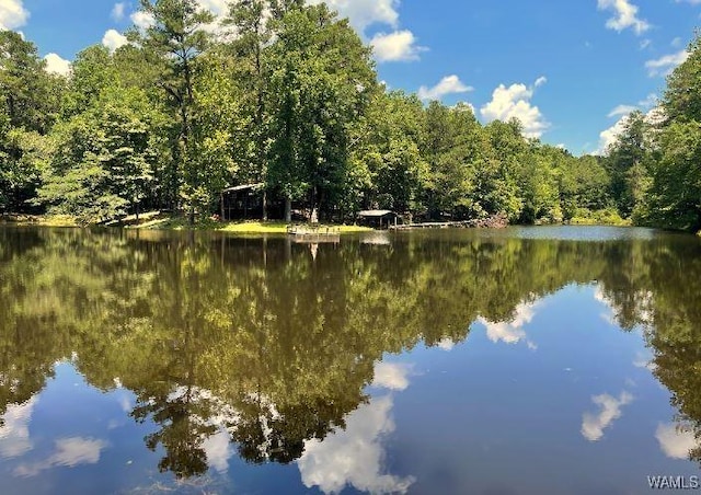 17796 Dry Branch Loop, Northport, AL 35475 - photo 1