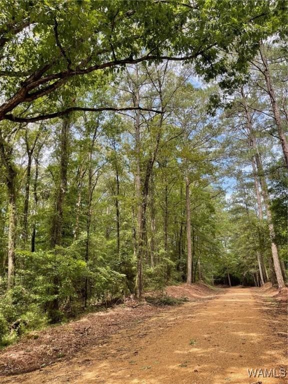 17796 Dry Branch Loop, Northport, AL 35475 - photo 68