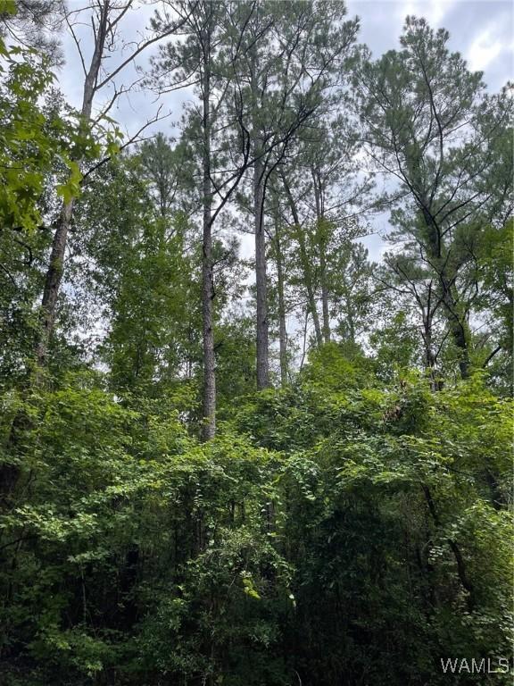 17796 Dry Branch Loop, Northport, AL 35475 - photo 42