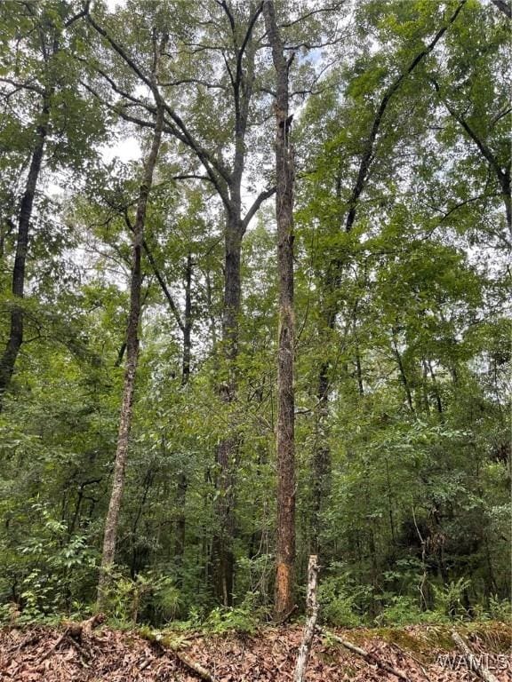 17796 Dry Branch Loop, Northport, AL 35475 - photo 62