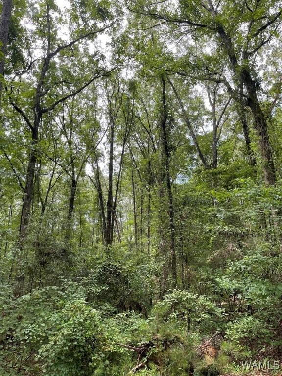 17796 Dry Branch Loop, Northport, AL 35475 - photo 69