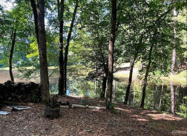 17796 Dry Branch Loop, Northport, AL 35475 - photo 31