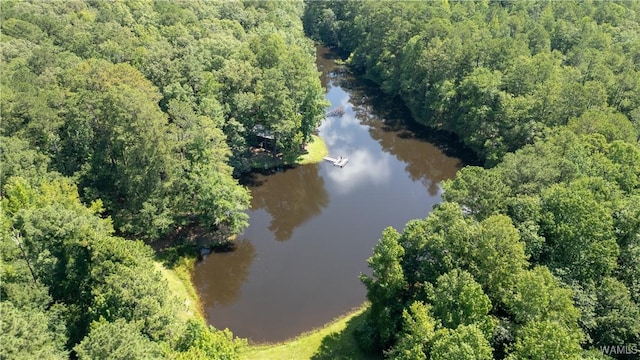 17796 Dry Branch Loop, Northport, AL 35475 - photo 45