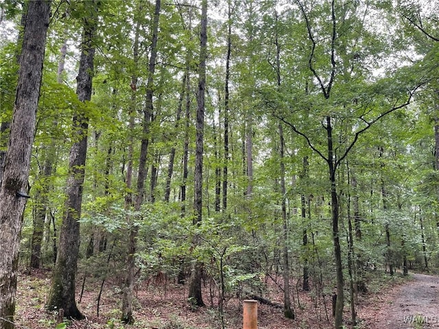 17796 Dry Branch Loop, Northport, AL 35475 - photo 73