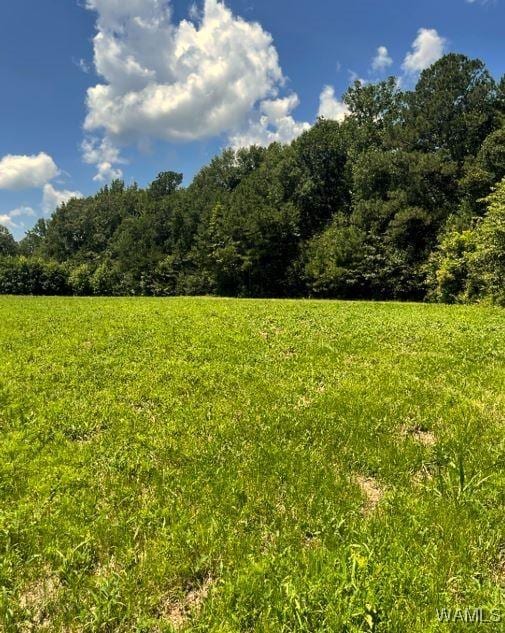 17796 Dry Branch Loop, Northport, AL 35475 - photo 41
