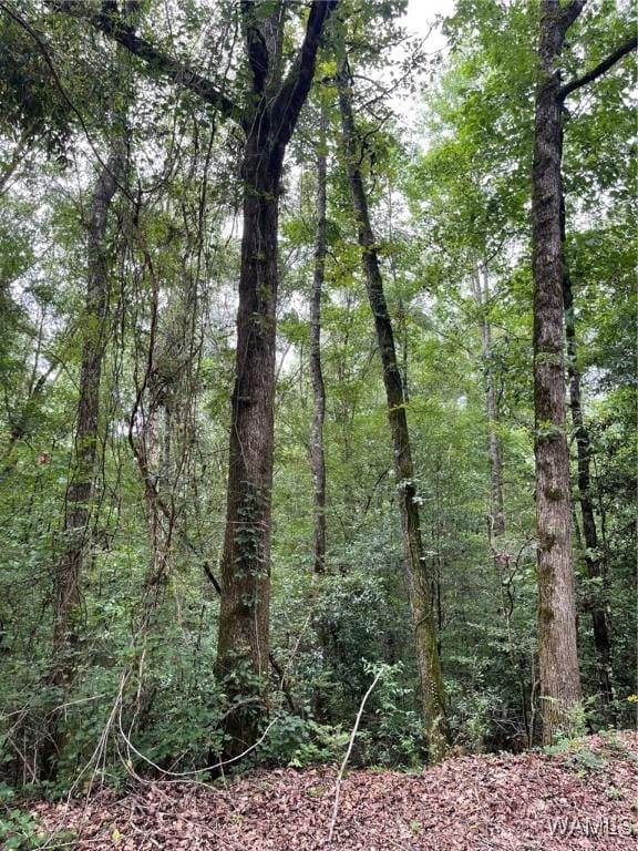 17796 Dry Branch Loop, Northport, AL 35475 - photo 61