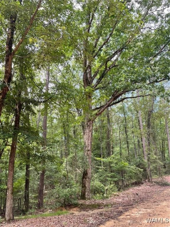 17796 Dry Branch Loop, Northport, AL 35475 - photo 66