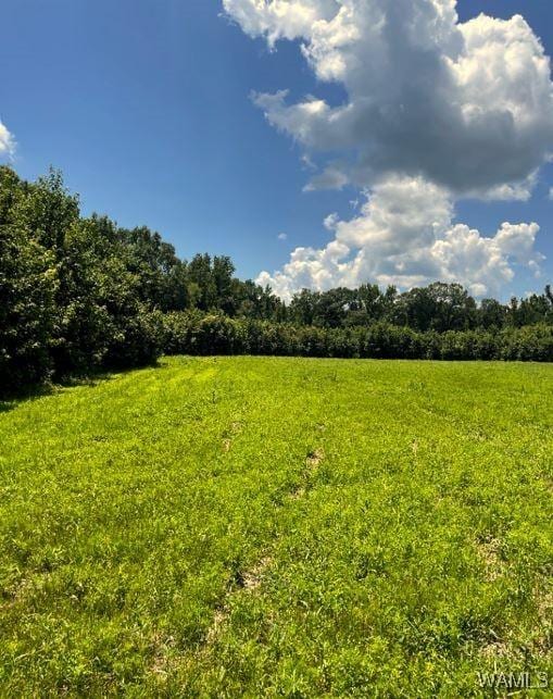 17796 Dry Branch Loop, Northport, AL 35475 - photo 40