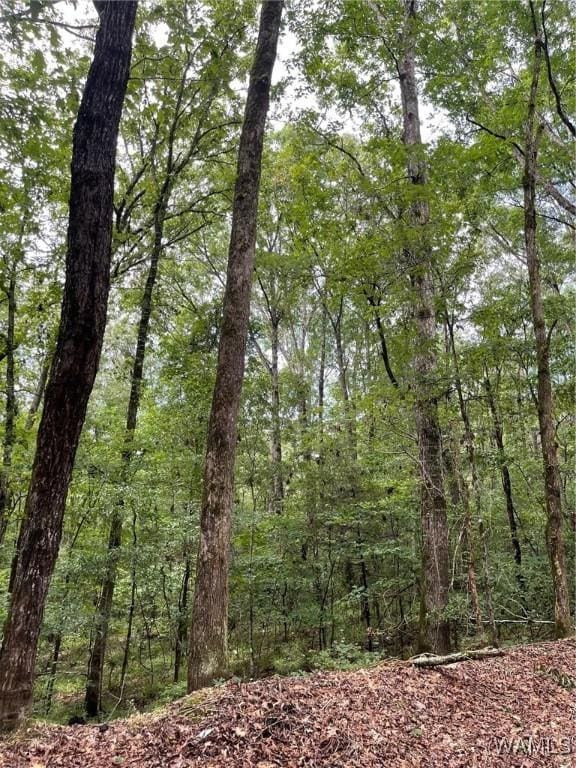 17796 Dry Branch Loop, Northport, AL 35475 - photo 64