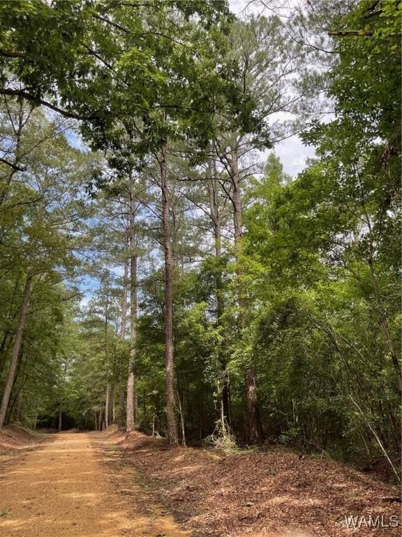 17796 Dry Branch Loop, Northport, AL 35475 - photo 67