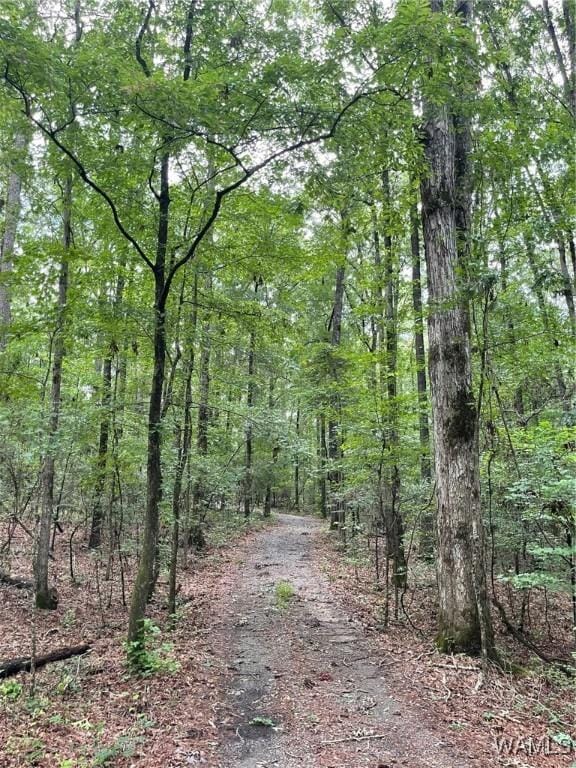 17796 Dry Branch Loop, Northport, AL 35475 - photo 71