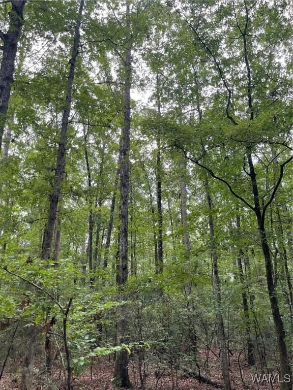 17796 Dry Branch Loop, Northport, AL 35475 - photo 72