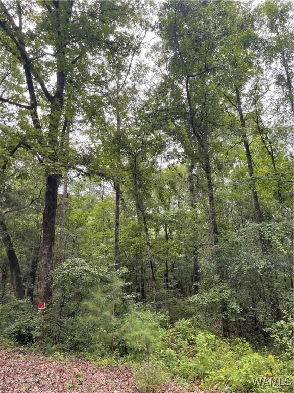 17796 Dry Branch Loop, Northport, AL 35475 - photo 58