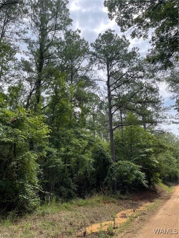 17796 Dry Branch Loop, Northport, AL 35475 - photo 43