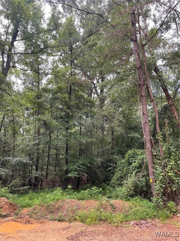 17796 Dry Branch Loop, Northport, AL 35475 - photo 60