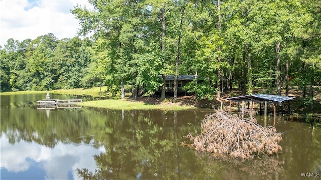 17796 Dry Branch Loop, Northport, AL 35475 - photo 4