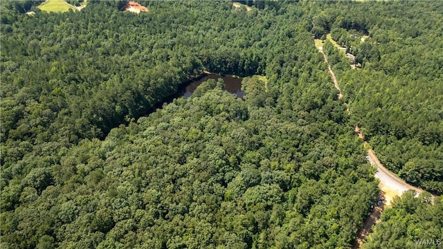 17796 Dry Branch Loop, Northport, AL 35475 - photo 51