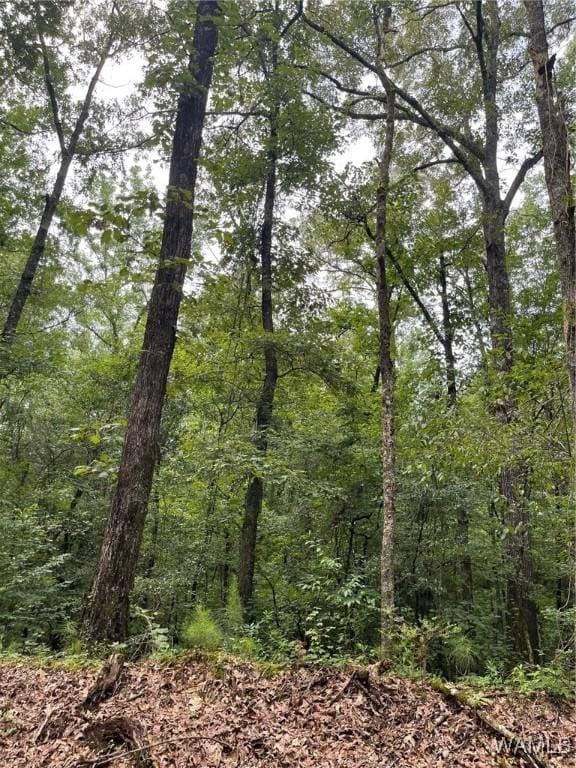 17796 Dry Branch Loop, Northport, AL 35475 - photo 63