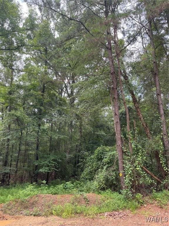17796 Dry Branch Loop, Northport, AL 35475 - photo 59