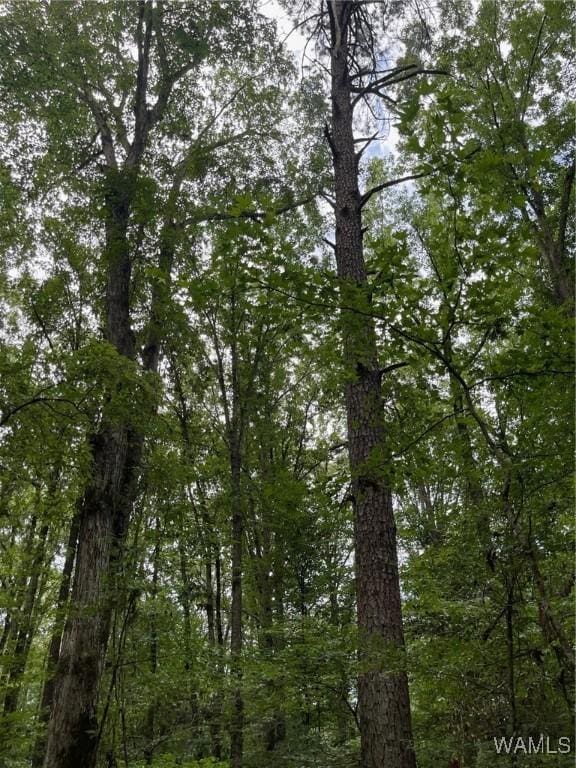 17796 Dry Branch Loop, Northport, AL 35475 - photo 70