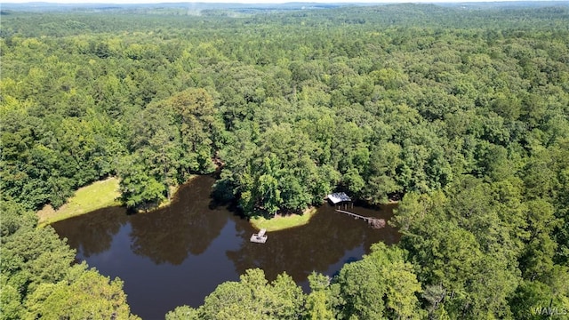17796 Dry Branch Loop, Northport, AL 35475 - photo 46