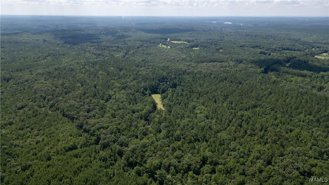 17796 Dry Branch Loop, Northport, AL 35475 - photo 49