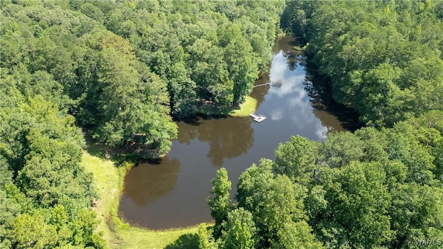 17796 Dry Branch Loop, Northport, AL 35475 - photo 44