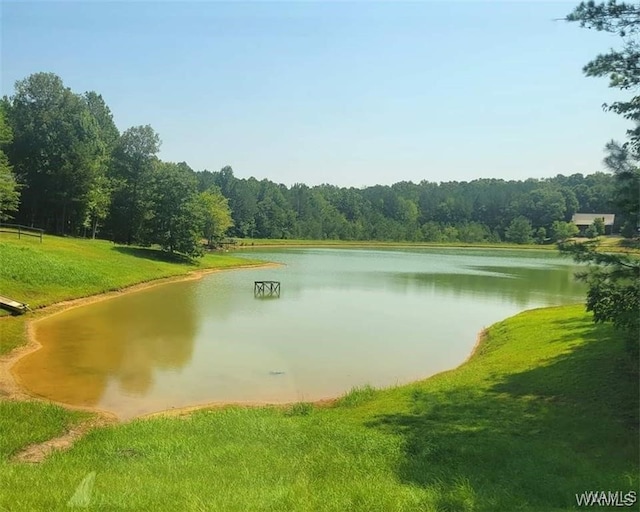 view of water feature with a forest view