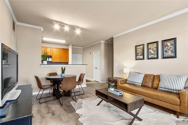 living room with light wood finished floors, a textured ceiling, baseboards, and crown molding